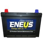 Аккумулятор Eneus Professional 100Ah п.п.