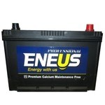 Аккумулятор Eneus Professional 100Ah о.п.