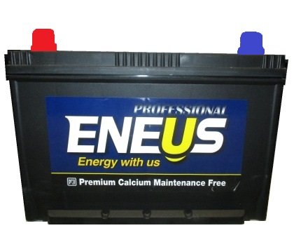 Аккумулятор Eneus Professional 100Ah п.п.