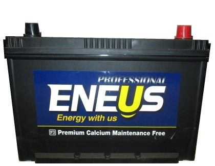 Аккумулятор Eneus Professional 100Ah о.п.
